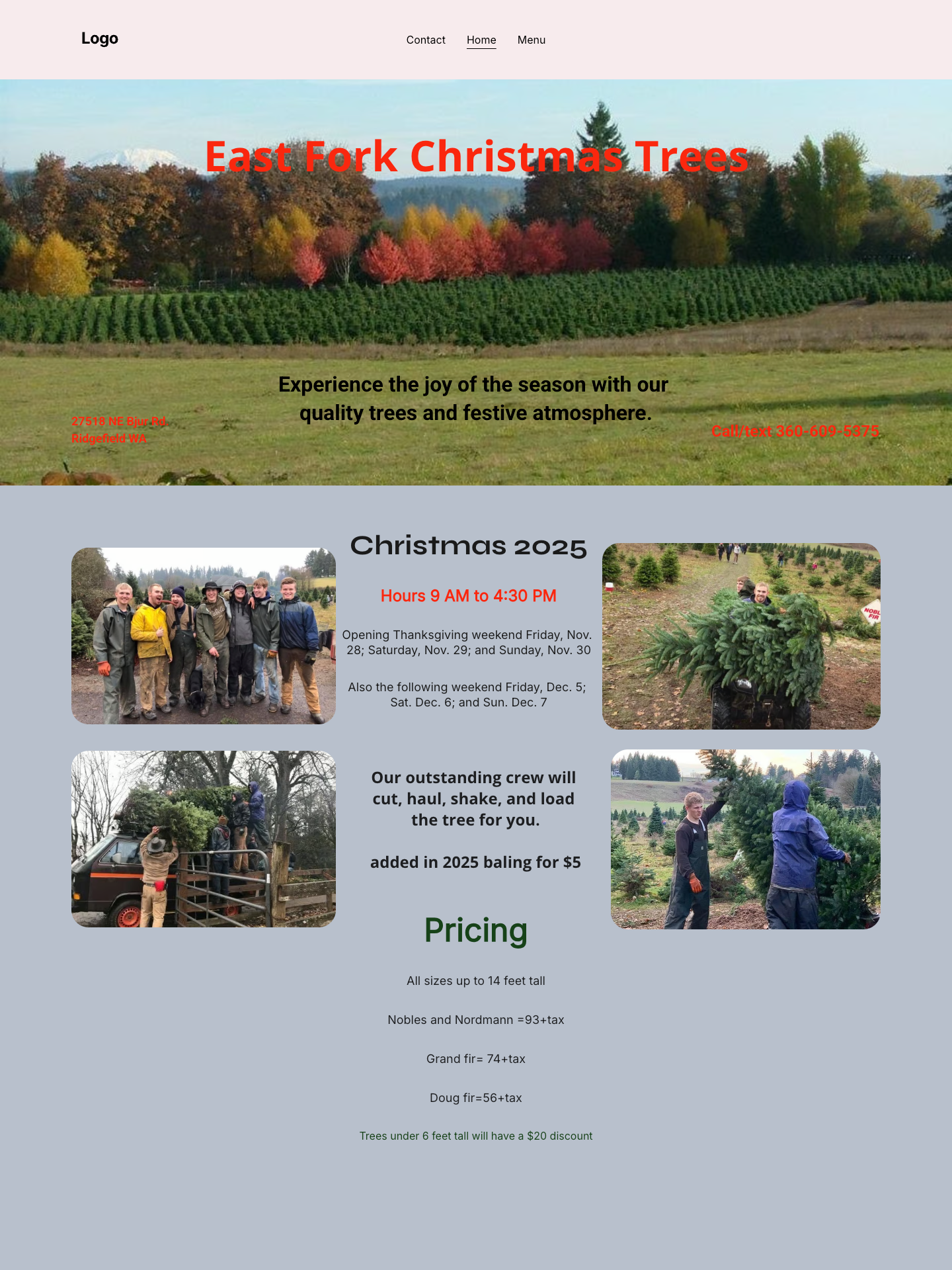 Christmas Tree Farm Website - before redesign